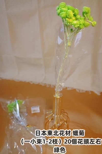 ♫大地農園/東北花材 蠟菊♫6