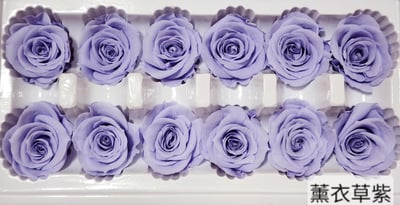 3.5-4cm玫瑰❁素色 27色❁(8/7已更)15