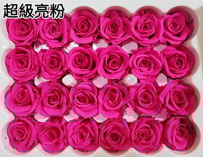 2-2cm多矮小迷你玫瑰❁素色 28色❁（8/7已更新）24