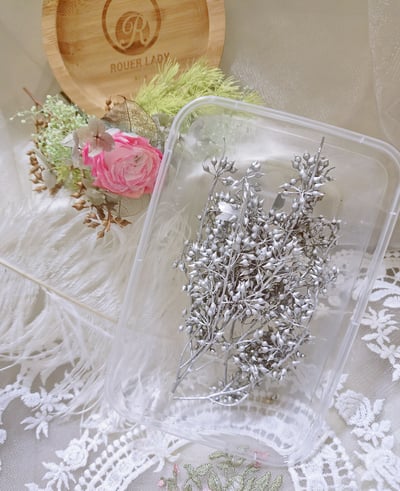 ✿小米果/小米尤加利✿（9／14）3