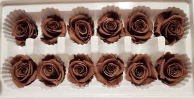 3.5-4cm玫瑰❁素色 27色❁(8/7已更)3