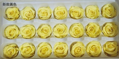 2-3偏3CM玫瑰❁素色 33色❁21