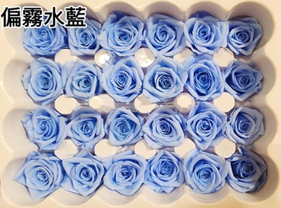 2-2cm多矮小迷你玫瑰❁素色 28色❁（8/7已更新）22