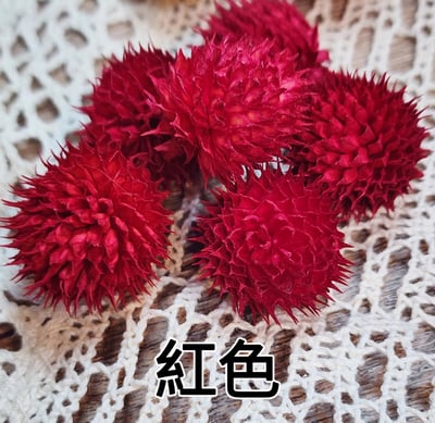 ✴草莓果/刺刺果/和尚頭✴6