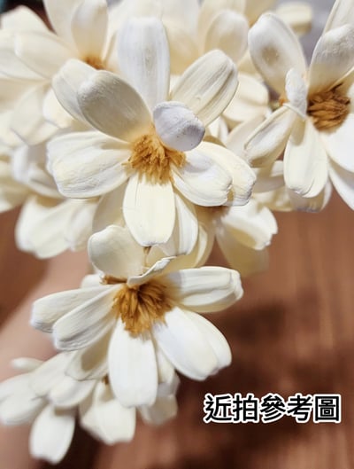 瓜子花/瓜果殼花手工品3