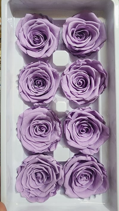 4-5cm玫瑰❁素色/特殊色 11色❁(7/27已更)11