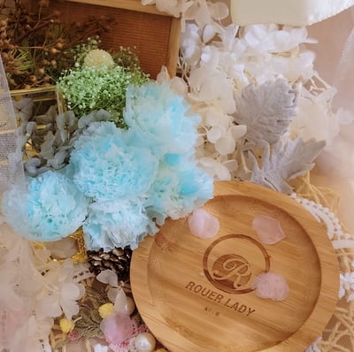 4-5cm康乃馨❁素色/特殊色 7色❁(4/21已更新)10