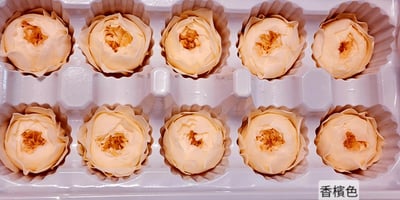 ❁3cm/3-4cm蝴蝶奧斯汀/庭園奧斯汀❁（7／25已更新）4