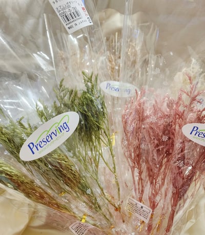 ❁大地農園EARTH MATTERS❁平葉磯松/雪花1