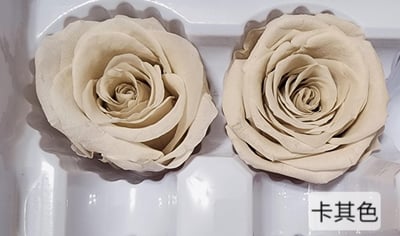 4cm玫瑰❁素色 22色❁(8/7已更)18