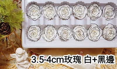 3.5-4cm玫瑰❁特殊色 4色❁(7/25已更)2
