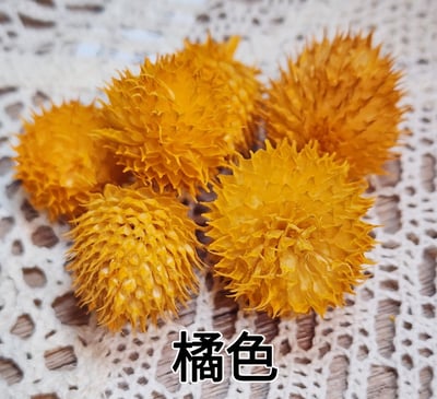 ✴草莓果/刺刺果/和尚頭✴5