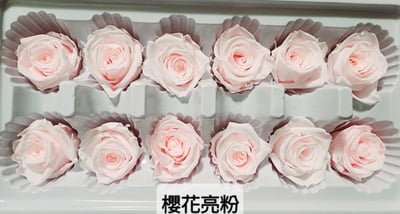 3.5-4cm玫瑰❁素色 27色❁(8/7已更)8