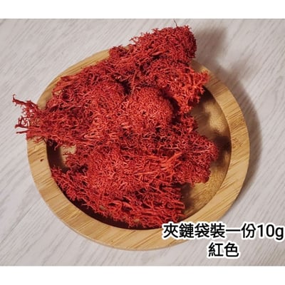 ★馴鹿草/苔蘚/馴鹿苔★（4／21已更新）4