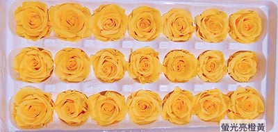 2-3偏3CM玫瑰❁素色 33色❁18