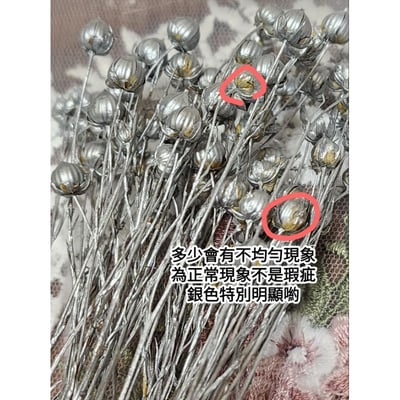 ✭臨花/相思豆/富貴豆/胡麻豆/亞麻果實✭（8／4已更新）2