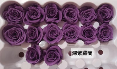 2-2cm多矮小迷你玫瑰❁素色 28色❁（8/7已更新）8