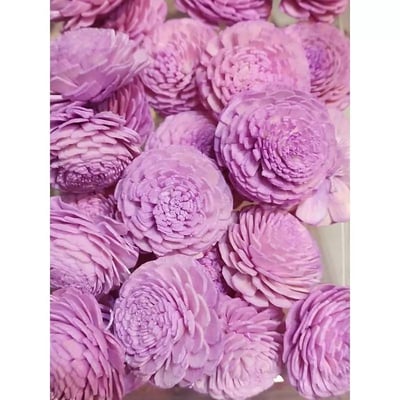 ♫無芯菊索拉花♫11