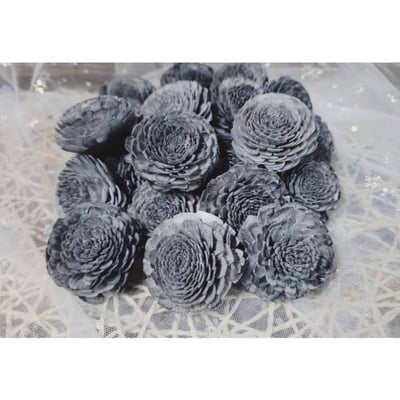 ♫無芯菊索拉花♫10