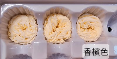 ✵3-4cm巧克力奧斯汀/平頭奧斯汀✵(7/25已更新)4