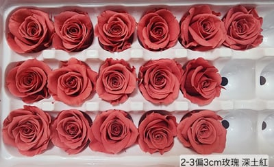 2-3偏3CM玫瑰❁素色 33色❁12