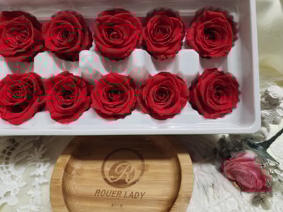 4cm玫瑰❁素色 22色❁(8/7已更)4