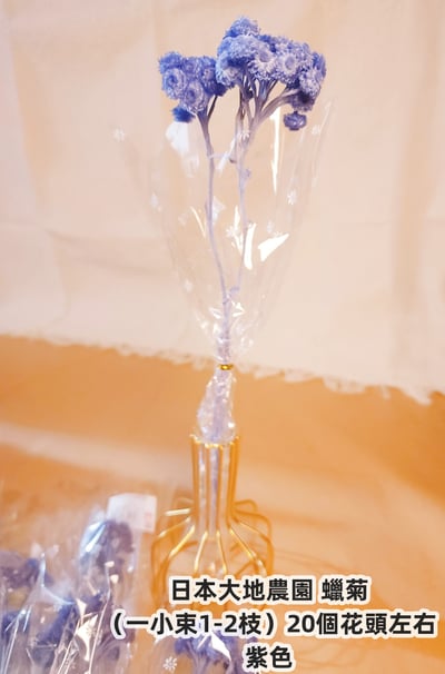 ♫大地農園/東北花材 蠟菊♫4