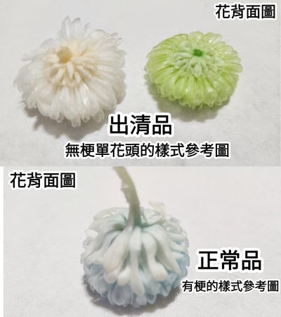 ♪2-3cm小雛菊 ♪2