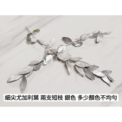 尤加利葉/小圓葉桉/大圓葉桉/蘋果桉（8／7已更新）13