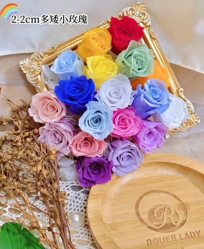 2-2cm多矮小迷你玫瑰❁素色 28色❁（8/7已更新）1