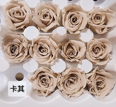 2-2cm多矮小迷你玫瑰❁素色 28色❁（8/7已更新）9