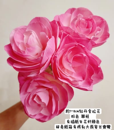 7-8cm牡丹花索拉花帶花桿5