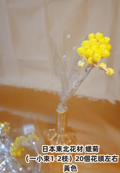 ♫大地農園/東北花材 蠟菊♫5