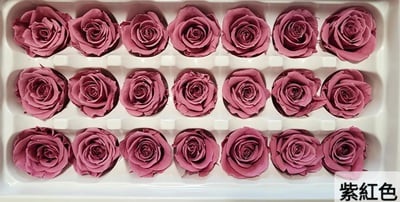 2-3偏3CM玫瑰❁素色 33色❁3