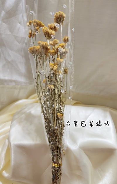 ❁大地農園EARTH MATTERS❁羅娜斯2