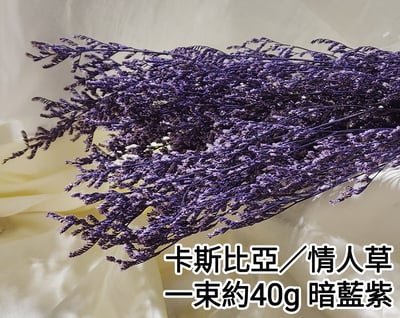 卡斯比亞/情人草2