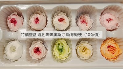 ❁3cm/3-4cm蝴蝶奧斯汀/庭園奧斯汀❁（7／25已更新）13