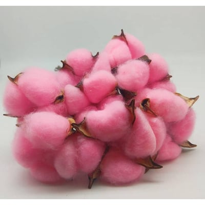 ☆棉花頭帶桿☆8