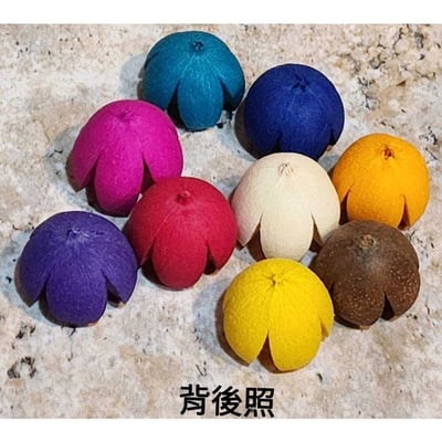 木荷果/開心果/開口笑果實/十字果3