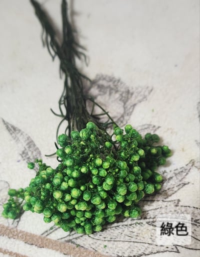 ❁米花 米香 米香花 小米花❁（9／14）17