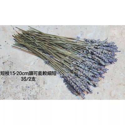 ✿乾燥花 薰衣草✿3