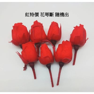 ❁大地農園EARTH MATTERS❁1-2cm花蕾8