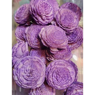 ♫無芯菊索拉花♫13