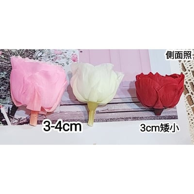 ❁3cm/3-4cm蝴蝶奧斯汀/庭園奧斯汀❁（7／25已更新）3