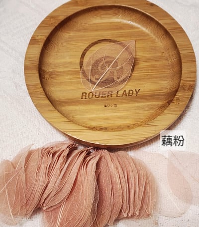 ☆葉脈/金剛葉☆(7/25已更新)11