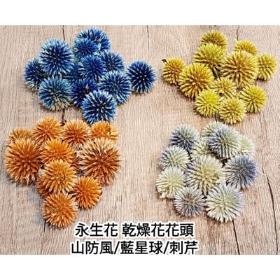 ❄山防風/藍星球❄(7/31已更新)1