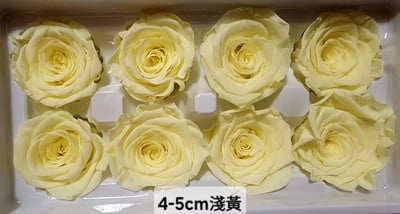 4-5cm玫瑰❁素色/特殊色 11色❁(7/27已更)9