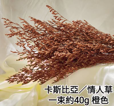 卡斯比亞/情人草4