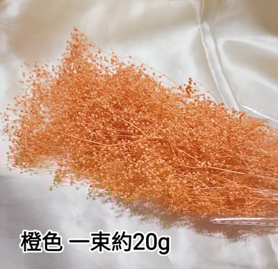 ❁霞草/百萬星❁7