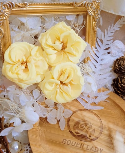 ❁大地農園EARTH MATTERS❁約4-4.5cm瑪麗安薔薇玫瑰3